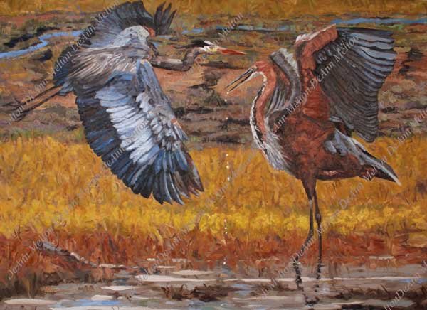 oil painting of Goliath Heron by DeAnn Melton