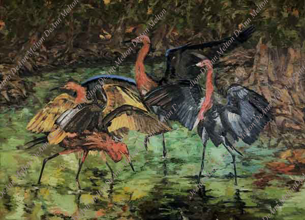 oil painting of reddish egrets standing in  water with vegetation by DeAnn Melton