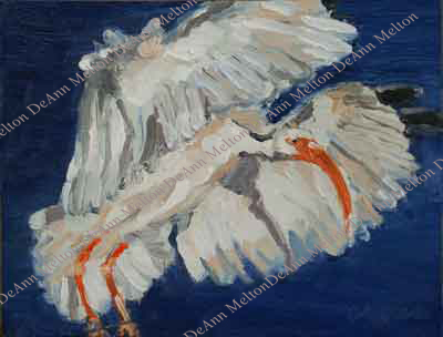 oil painting of flying ibis by DeAnn Melton
